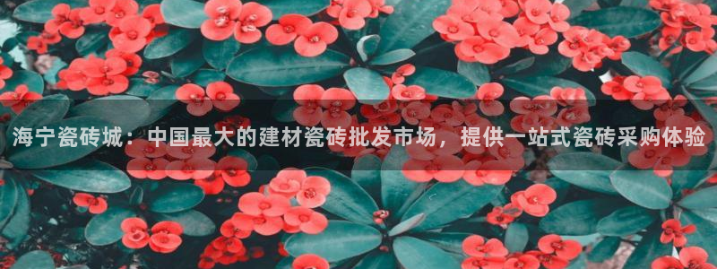 杏鑫平台正规吗是真的吗