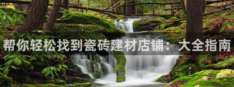 杏鑫平台代理注册流程及费用