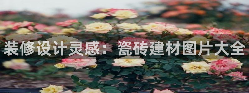杏鑫平台登录注册