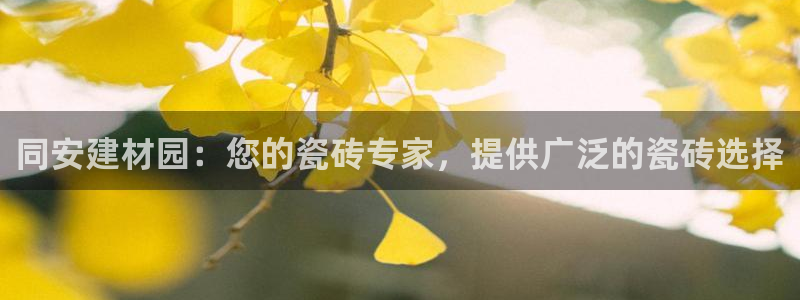 杏鑫代理注册平台