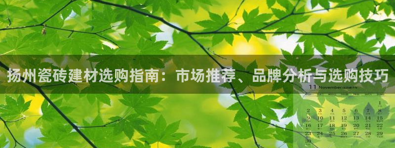 杏鑫平台官方网站