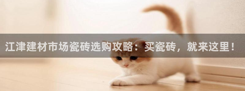 杏鑫平台登录地址是什么