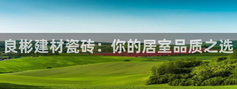 杏鑫平台测速怎么样