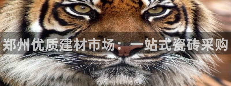 杏鑫平台代理怎么做的