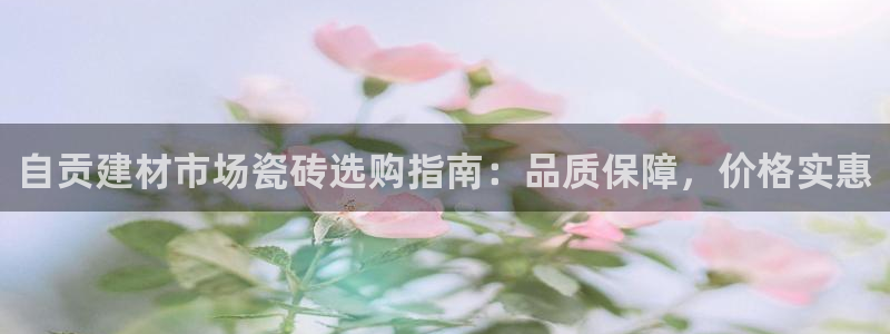 杏鑫手机客户端