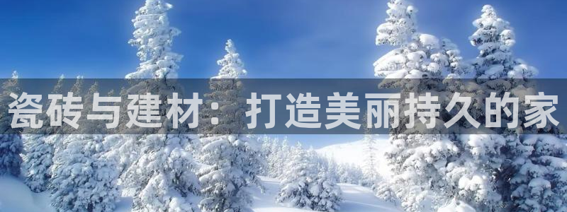杏鑫注册登录代理公司