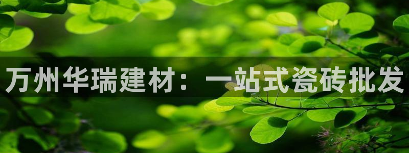 杏鑫平台是黑平台吗
