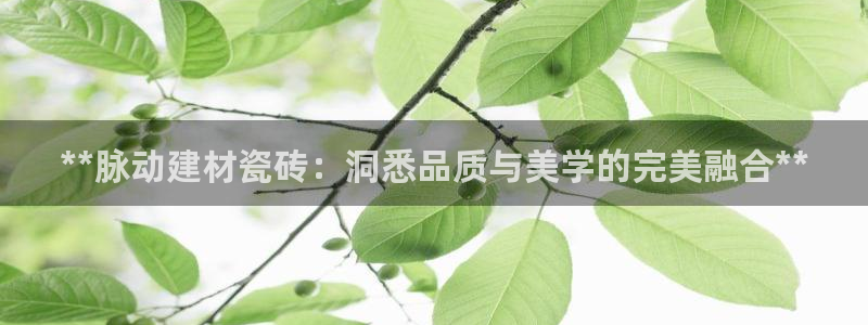 杏鑫娱乐平台测速怎么样