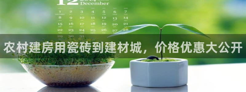 杏鑫平台代理注册