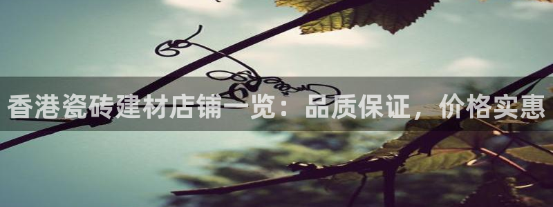 杏鑫平台招商电话