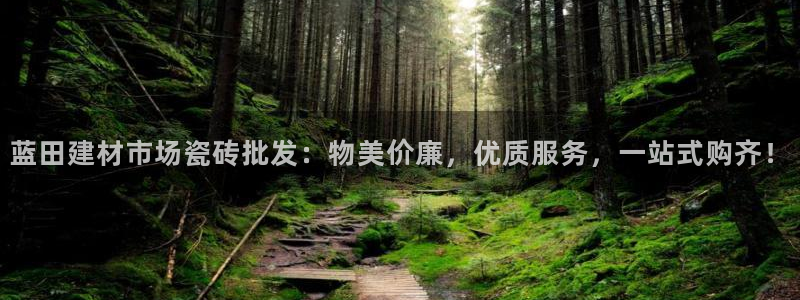 杏鑫平台野马联盟怎么样
