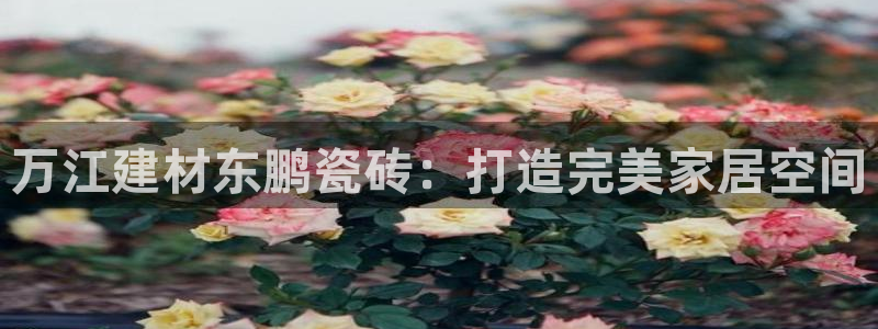 杏鑫平台代理注册多少钱啊