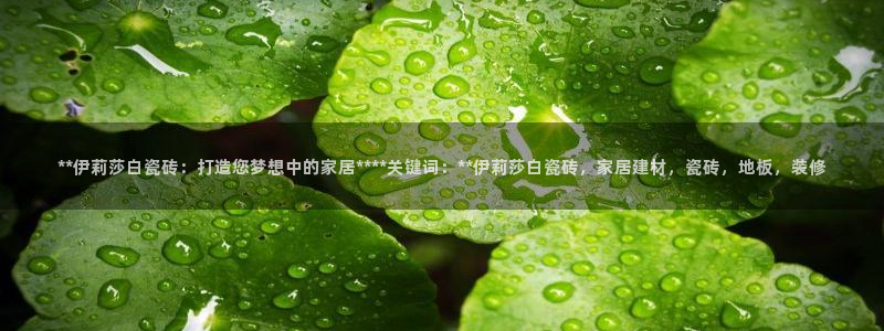 杏鑫平台念7O777