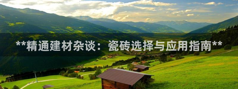 杏鑫平台登录地址查询
