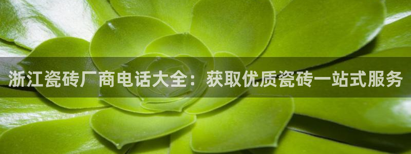 杏鑫登录注册
