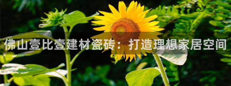 杏鑫登录注册测速