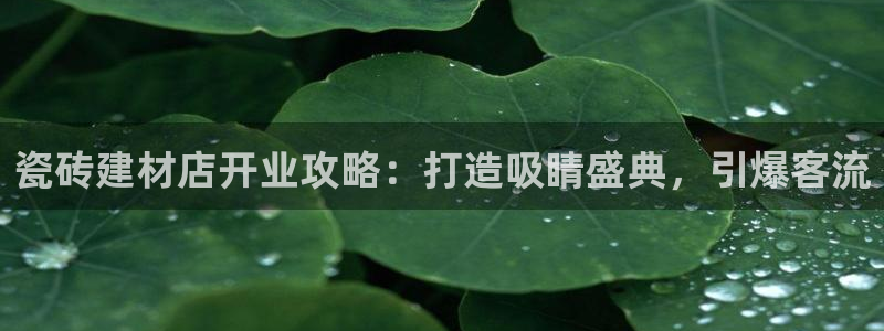 杏鑫平台线路测速