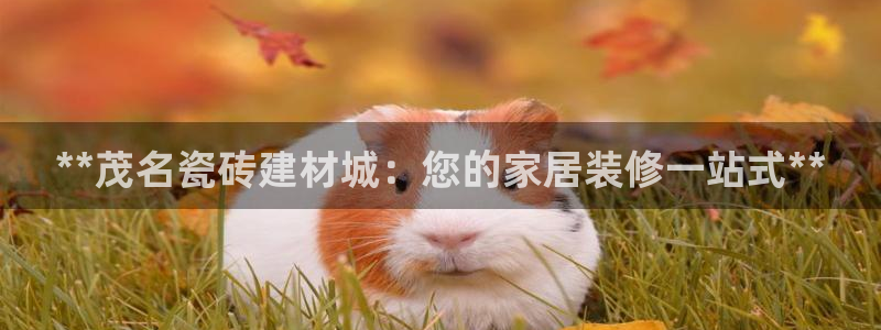 杏鑫官方平台怎么样啊可靠吗