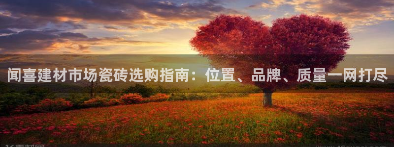 杏鑫平台代理怎么样