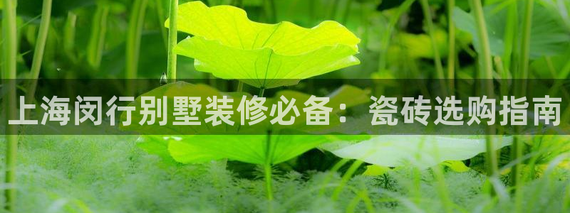 杏鑫平台注册入口在哪