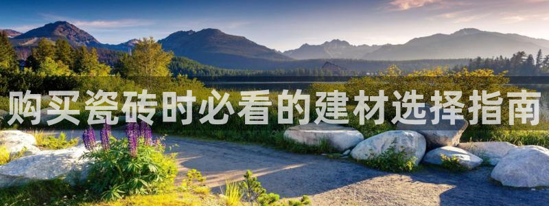 杏鑫平台平台娱乐