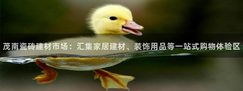 杏鑫平台代理