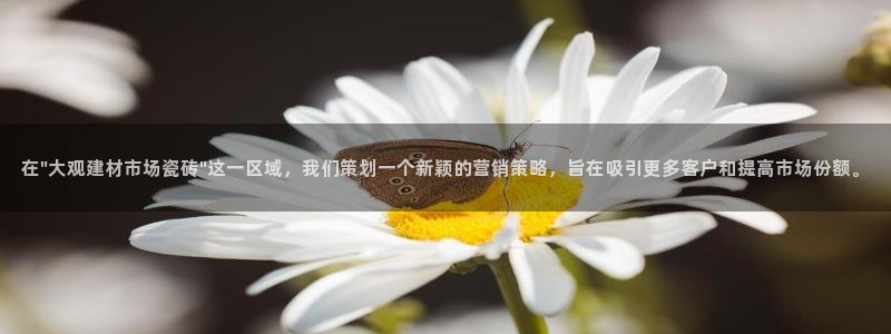 杏鑫娱乐负责人