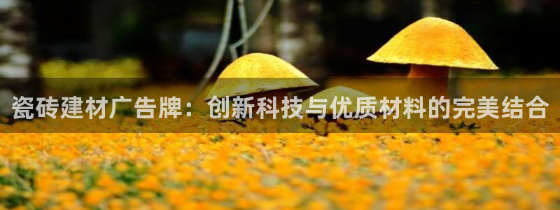 杏鑫平台野马联盟怎么样