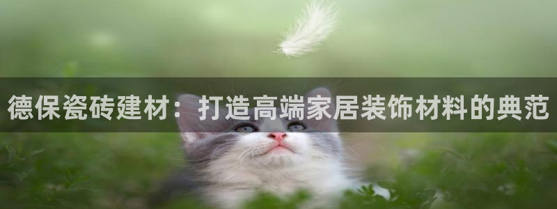 杏鑫平台招商电话是多少