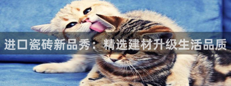 杏鑫平台代理怎么样