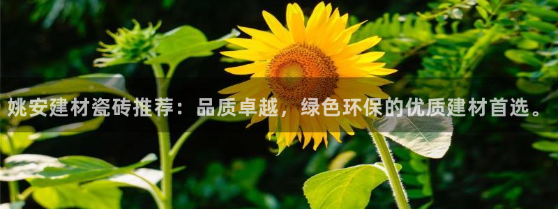 杏鑫平台怎么样黑钱吗知乎
