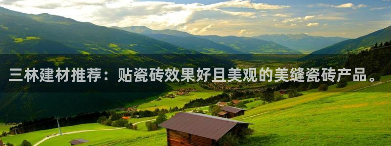 杏鑫平台下载安装