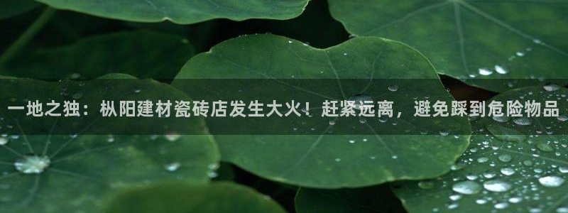 杏鑫注册平台官方网站