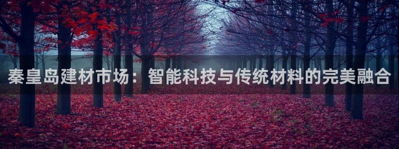 杏鑫平台代理注册多少钱