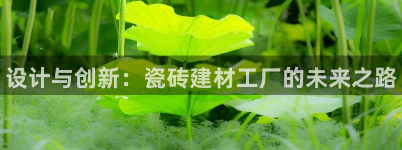 杏鑫平台怎么样