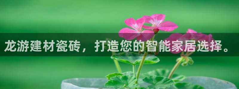 杏鑫平台登录地址是什么