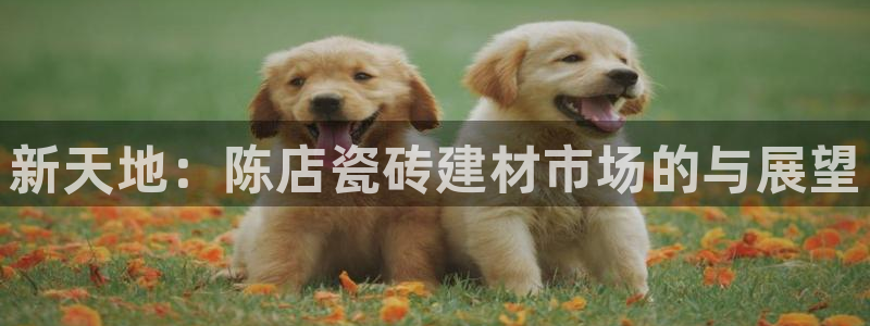 杏鑫平台广7O777