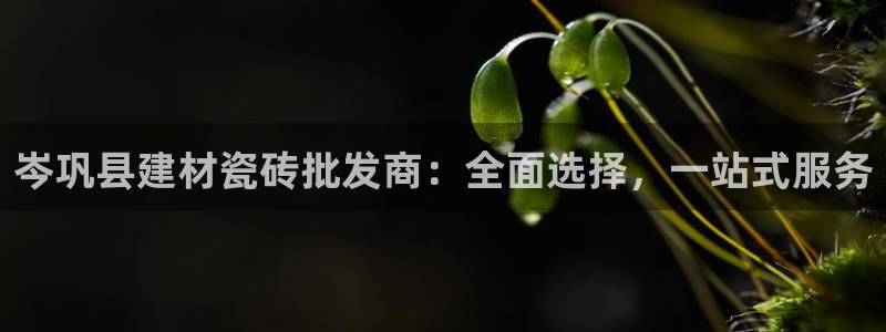 杏鑫娱乐平台登录