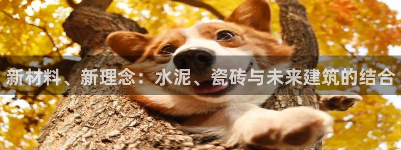 杏鑫注册