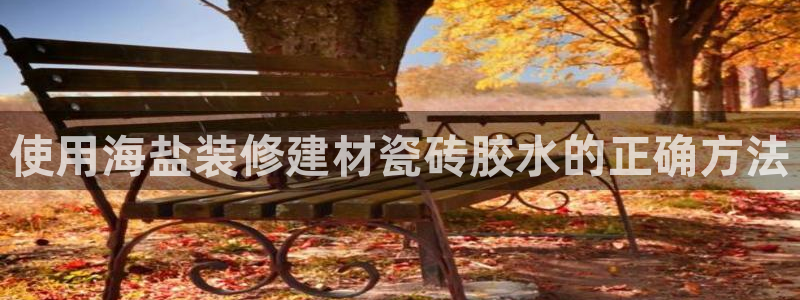 杏鑫娱乐开发团队