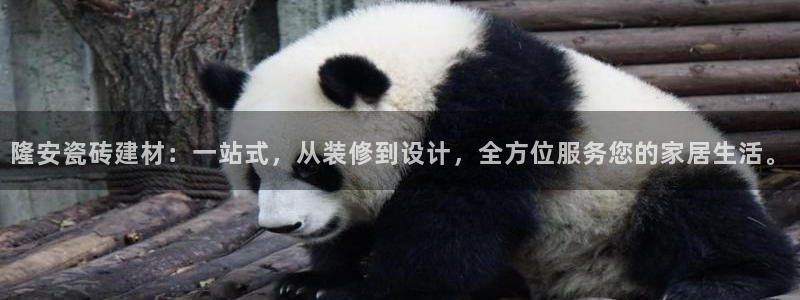 杏鑫平台念7O777