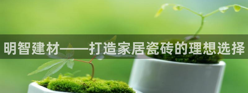 杏鑫代理注册资金多少