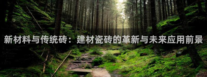 杏鑫有亏损返点吗