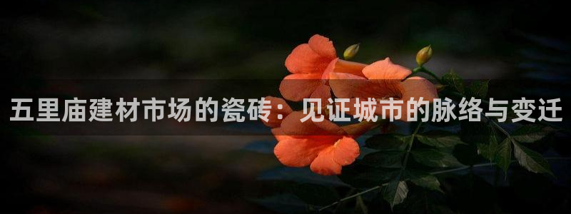 杏鑫平台代理注册要钱吗