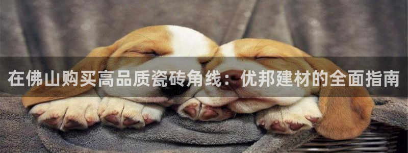 杏鑫官方平台怎么样啊