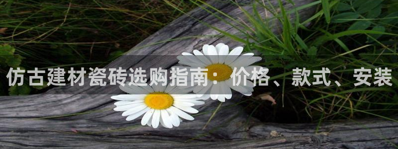 杏鑫平台注册网址