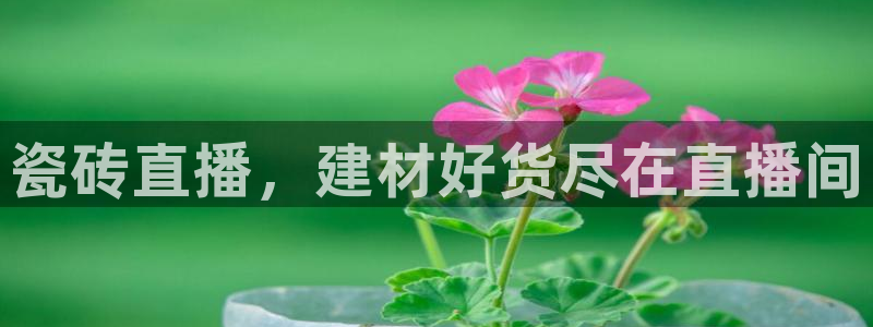 杏鑫平台注册入口