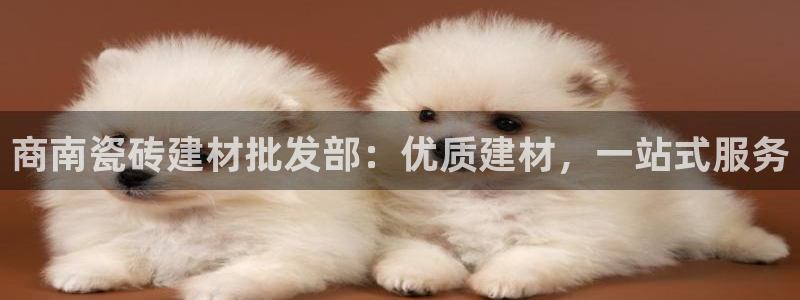 杏鑫平台代理怎么样可靠吗