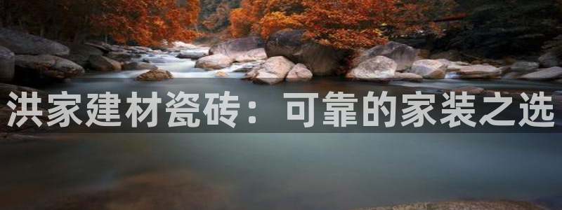 杏鑫平台代理注册流程