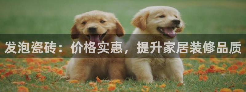 杏鑫平台代理怎么样赚钱